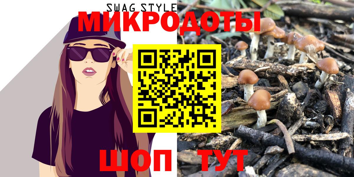 Горно-Алтайск  Псилоцибиновые грибы MAGIC MUSHROOMS  как найти   Вход с VPN 